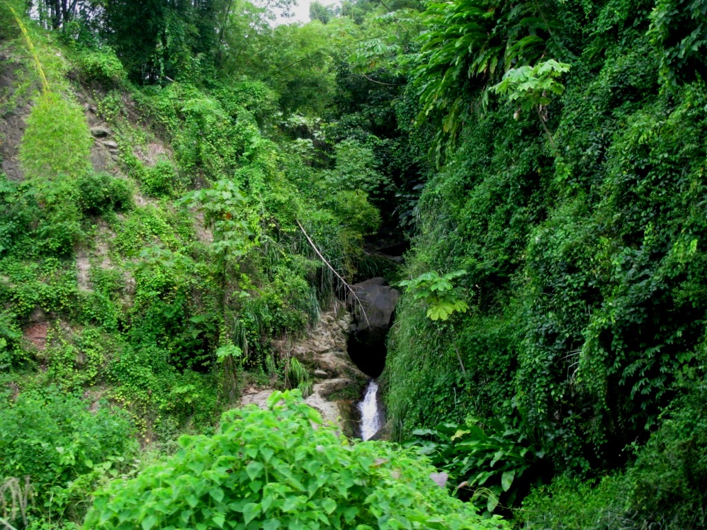 Annandale Waterfalls 22