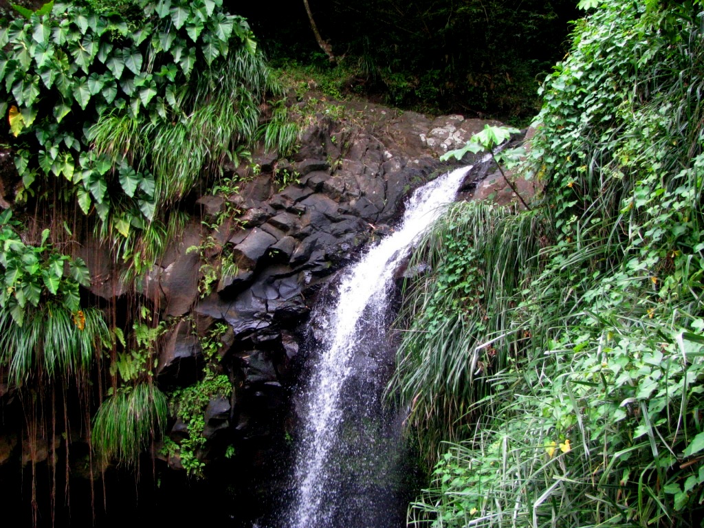 Annandale Waterfalls 08