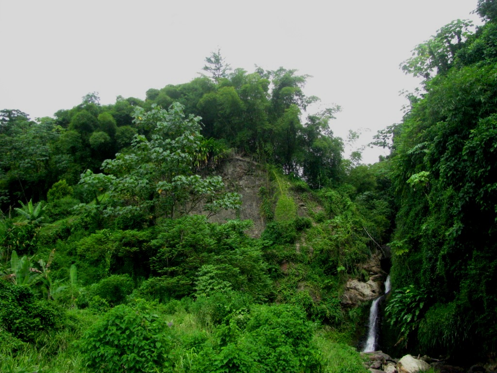 Annandale Waterfalls 24
