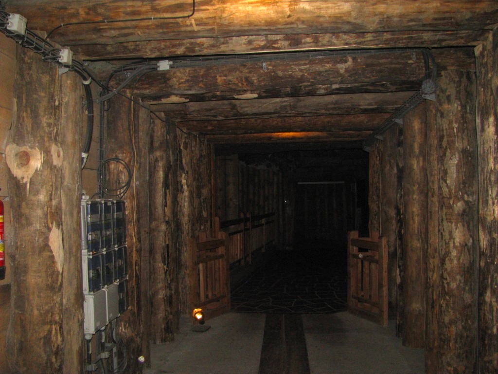 Wieliczka Salt Mine 06