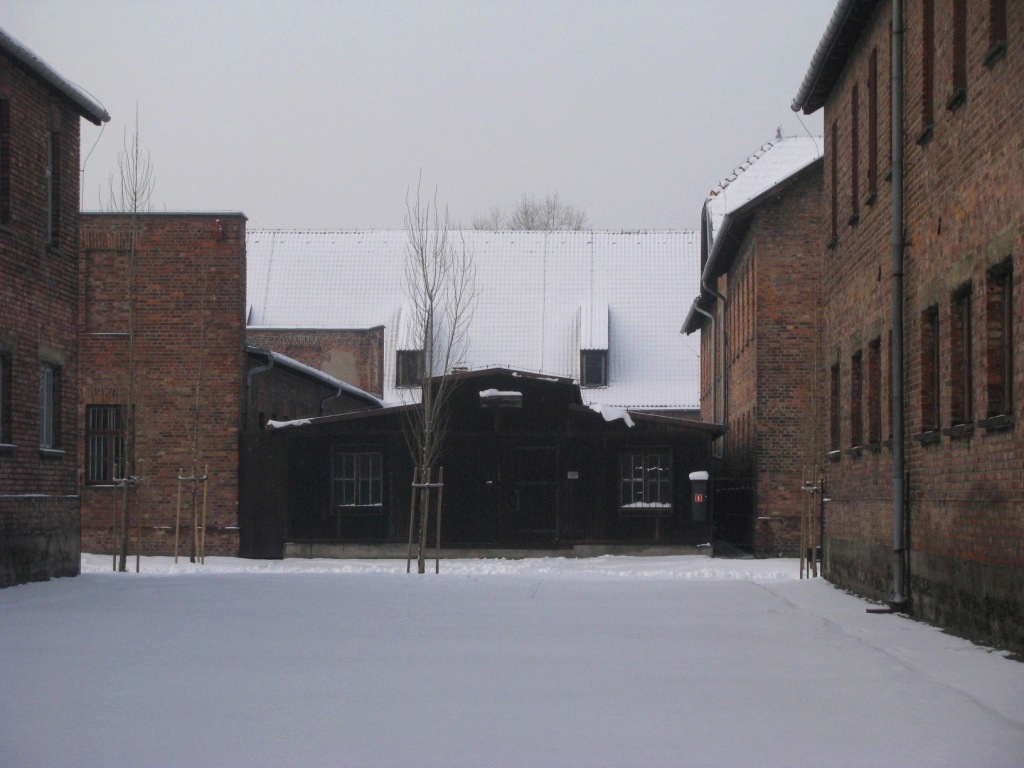 Auschwitz concentration camp 29