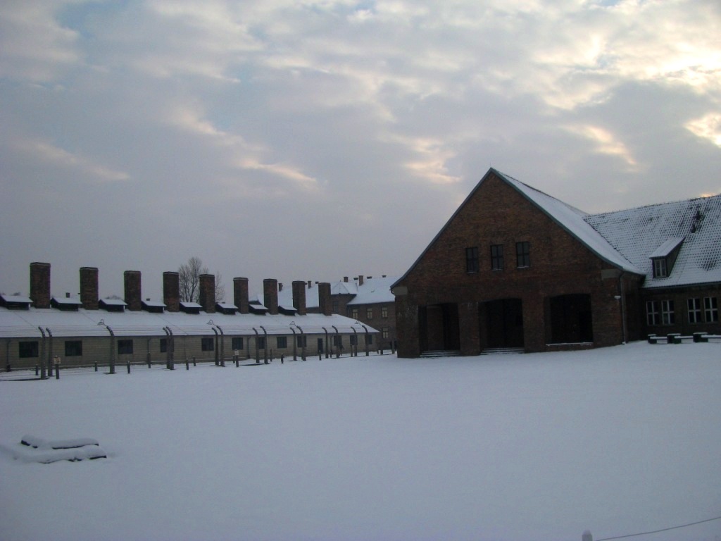 Auschwitz concentration camp 40