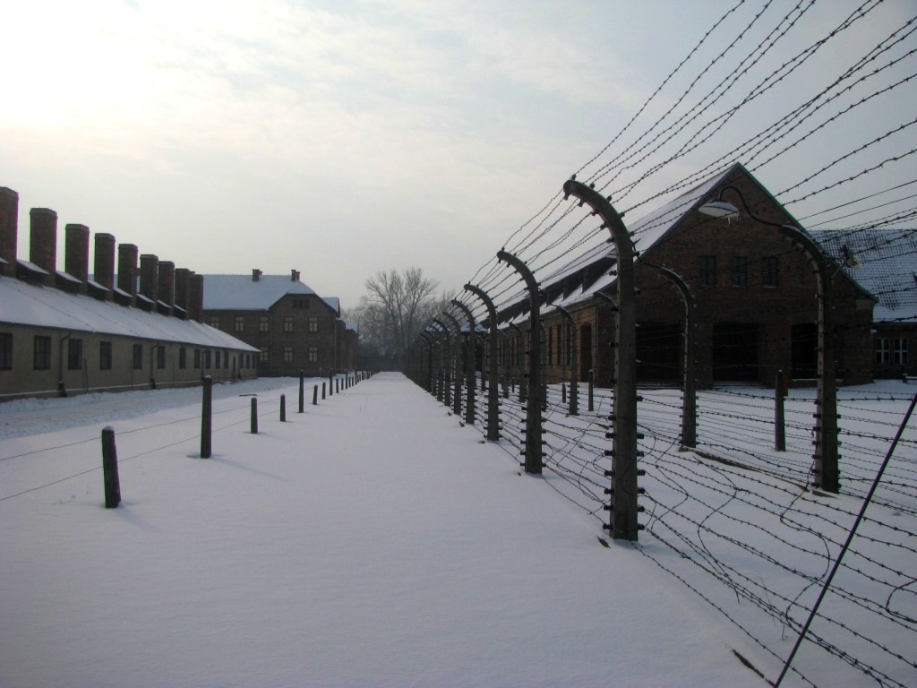 Auschwitz concentration camp 06