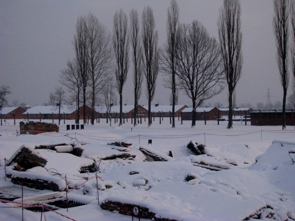 Auschwitz concentration camp 48.JPG