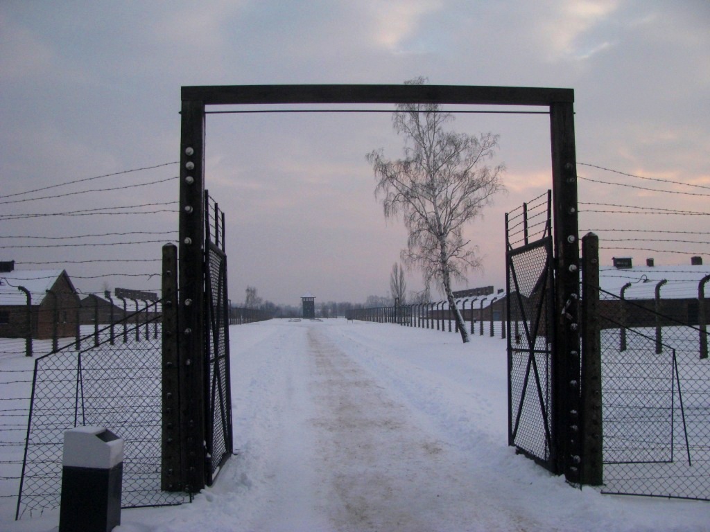 Auschwitz concentration camp 44.JPG