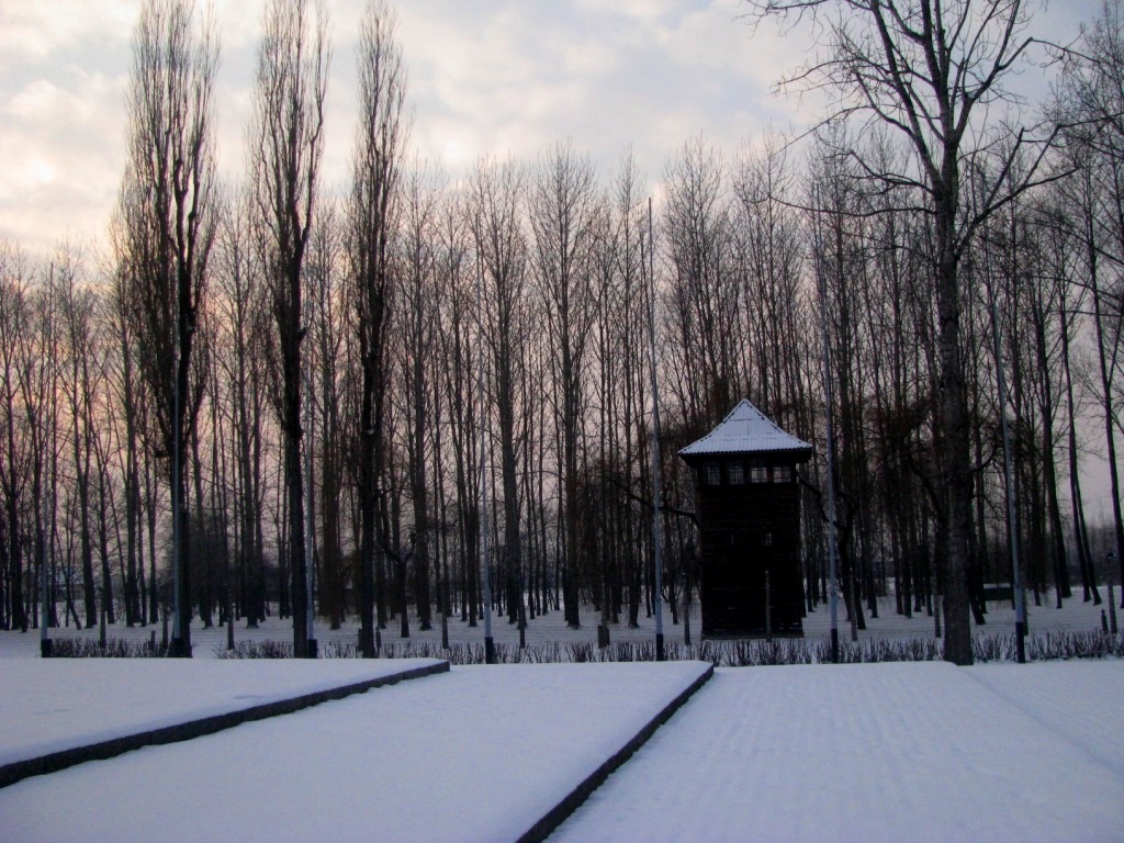 Auschwitz concentration camp 47.JPG