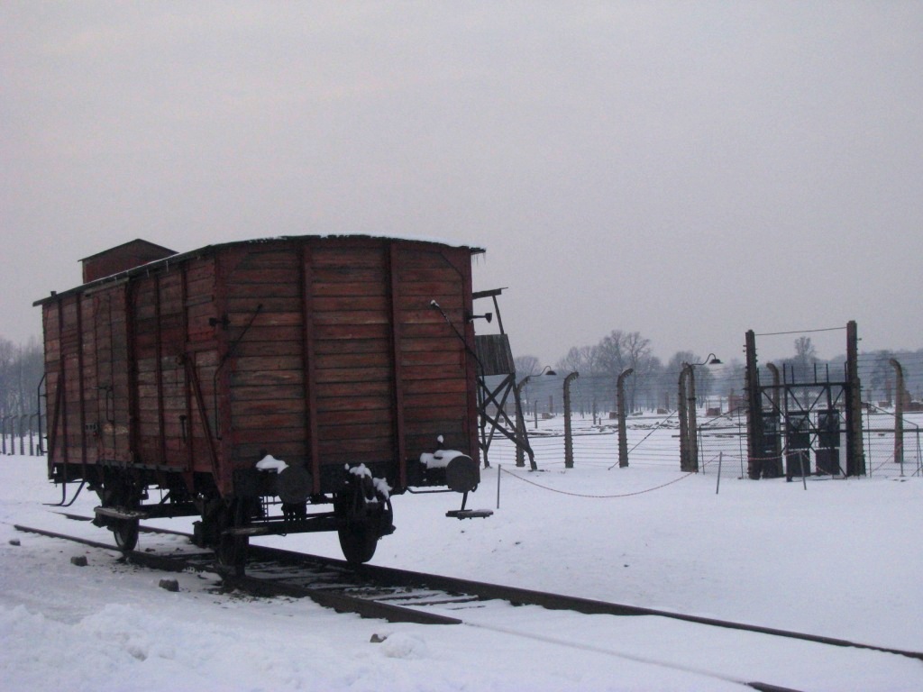 Auschwitz concentration camp 43.JPG