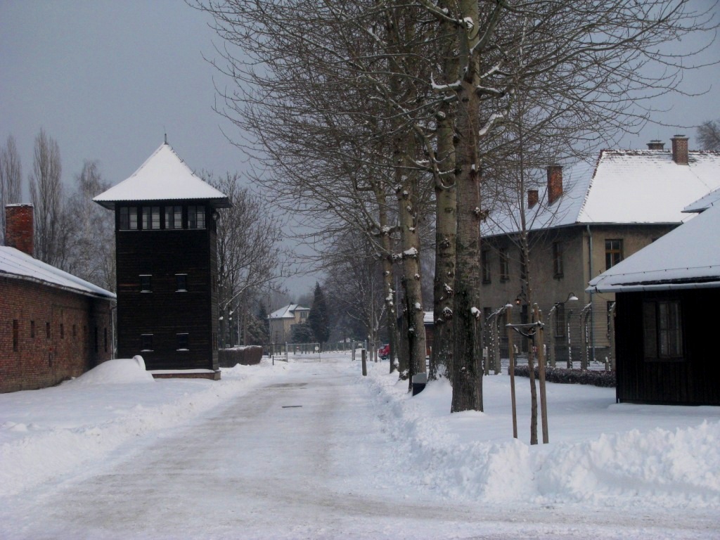 Auschwitz concentration camp 02