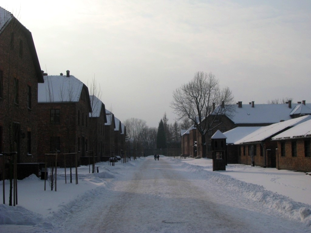Auschwitz concentration camp 08