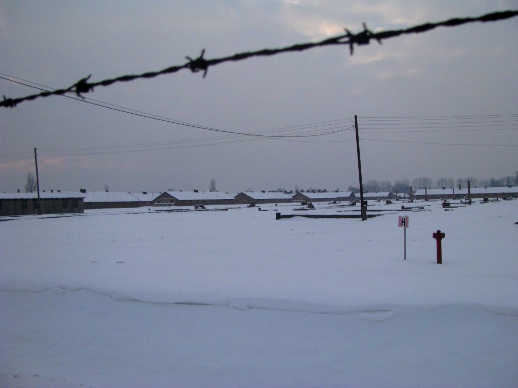 Auschwitz concentration camp 41.JPG