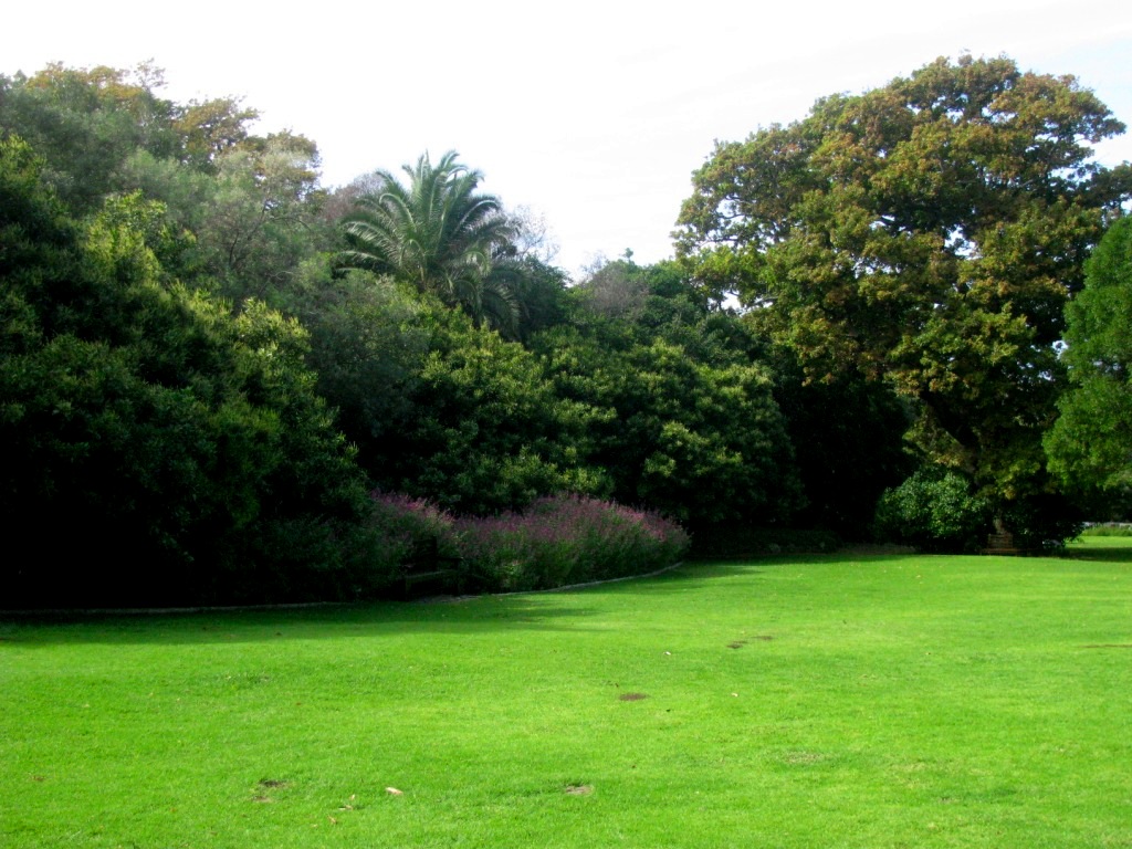 Kirstenbosch 24