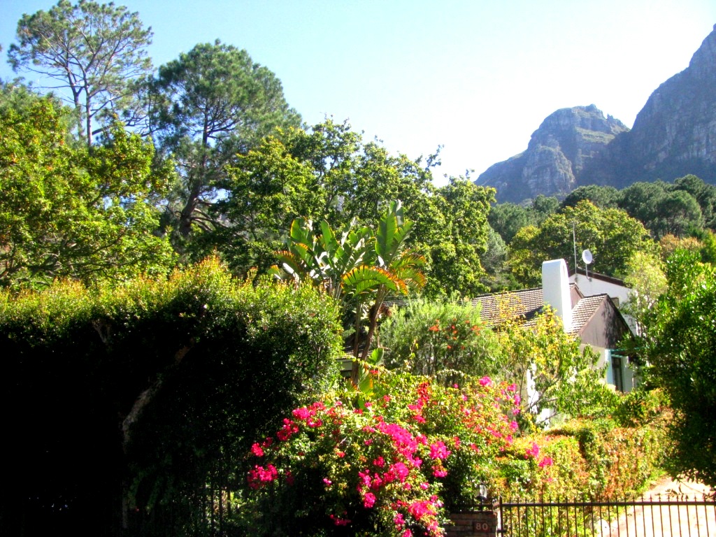 Kirstenbosch 04