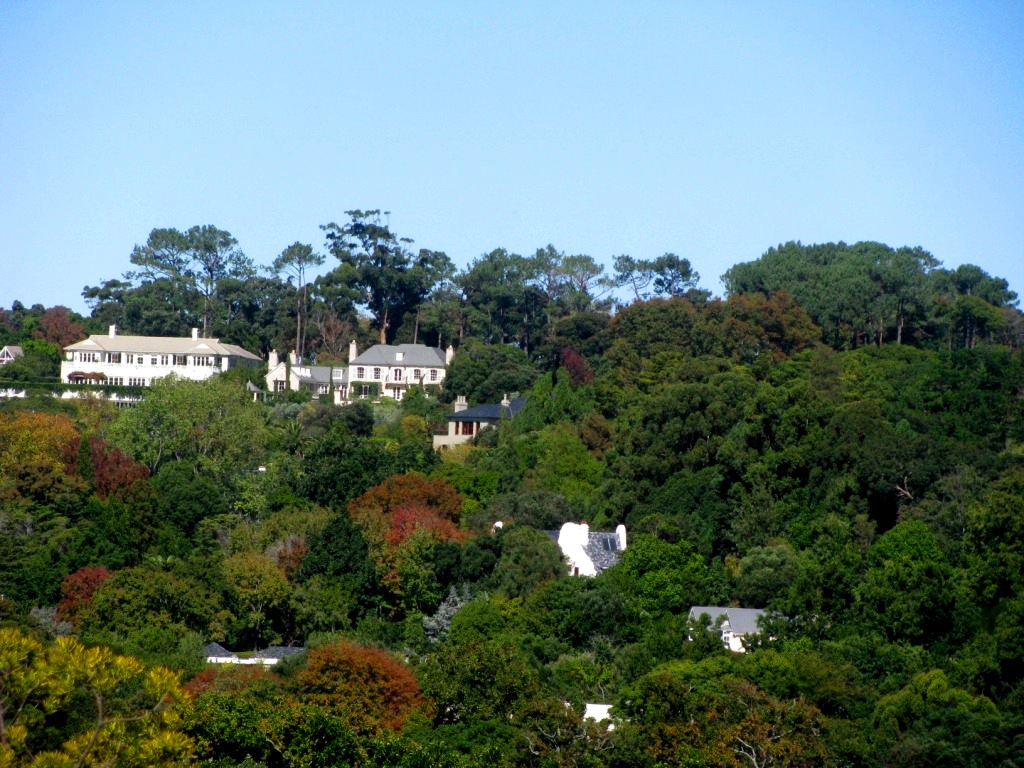 Kirstenbosch 09