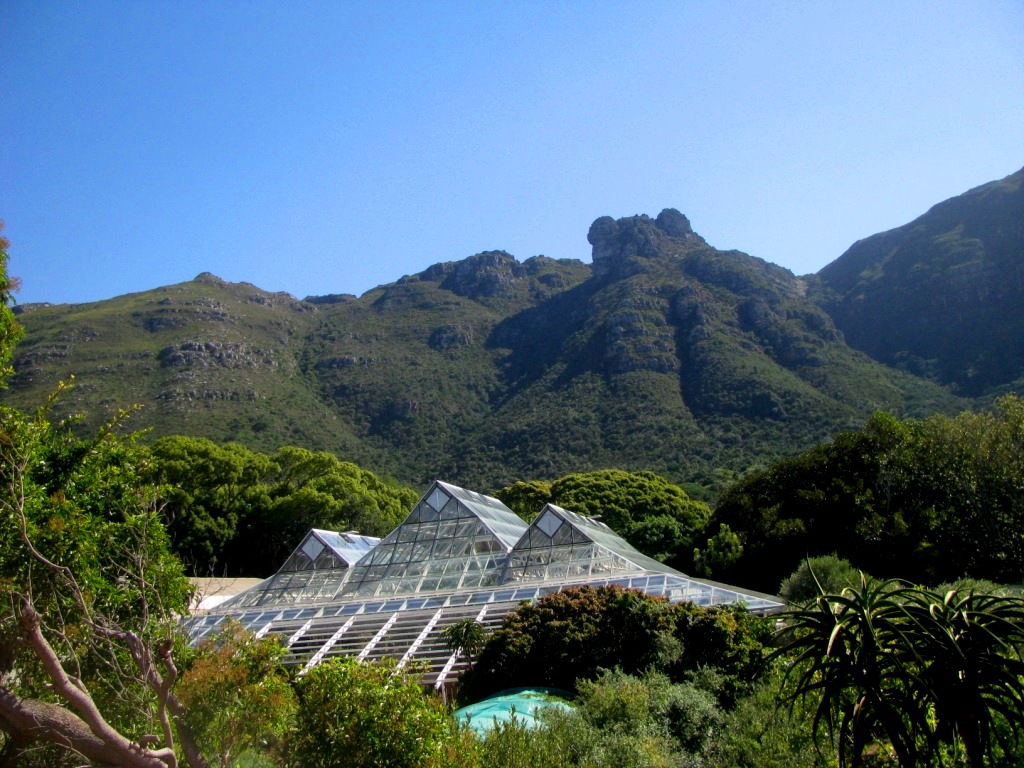 Kirstenbosch 10