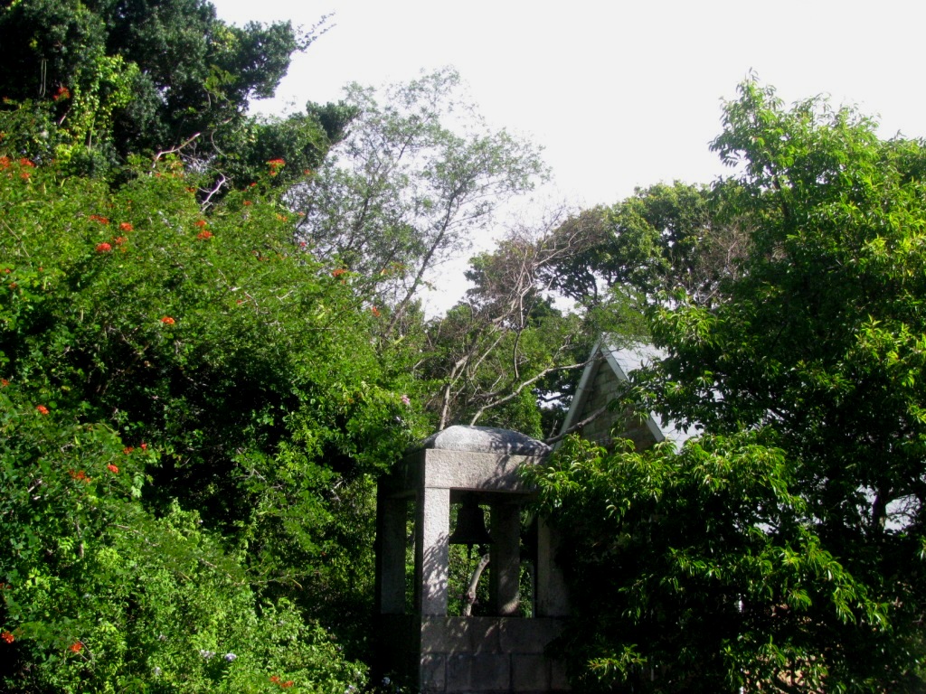Kirstenbosch 47.JPG