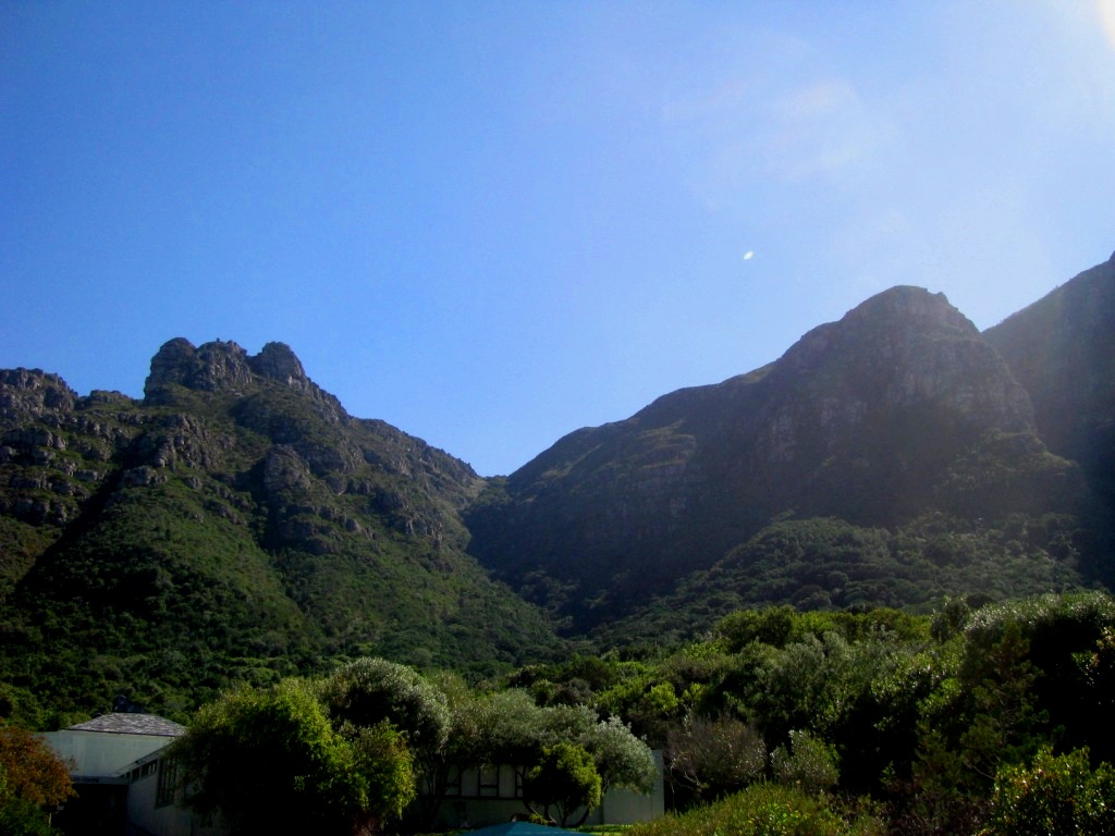 Kirstenbosch 08