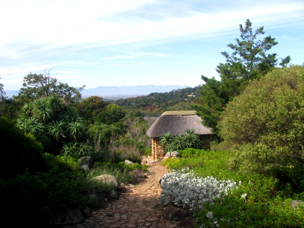 Kirstenbosch 29