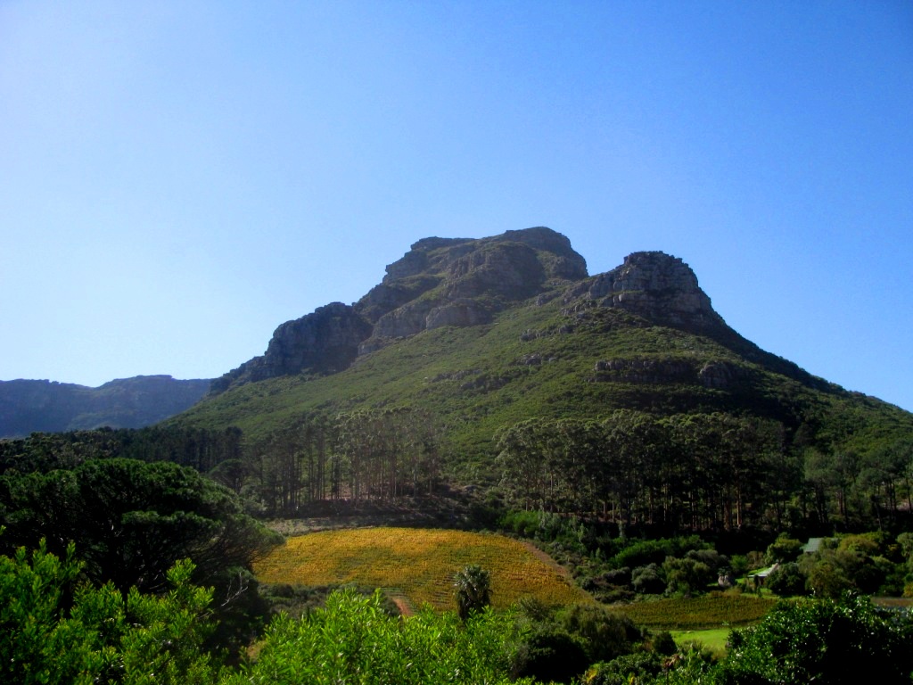 Kirstenbosch 11