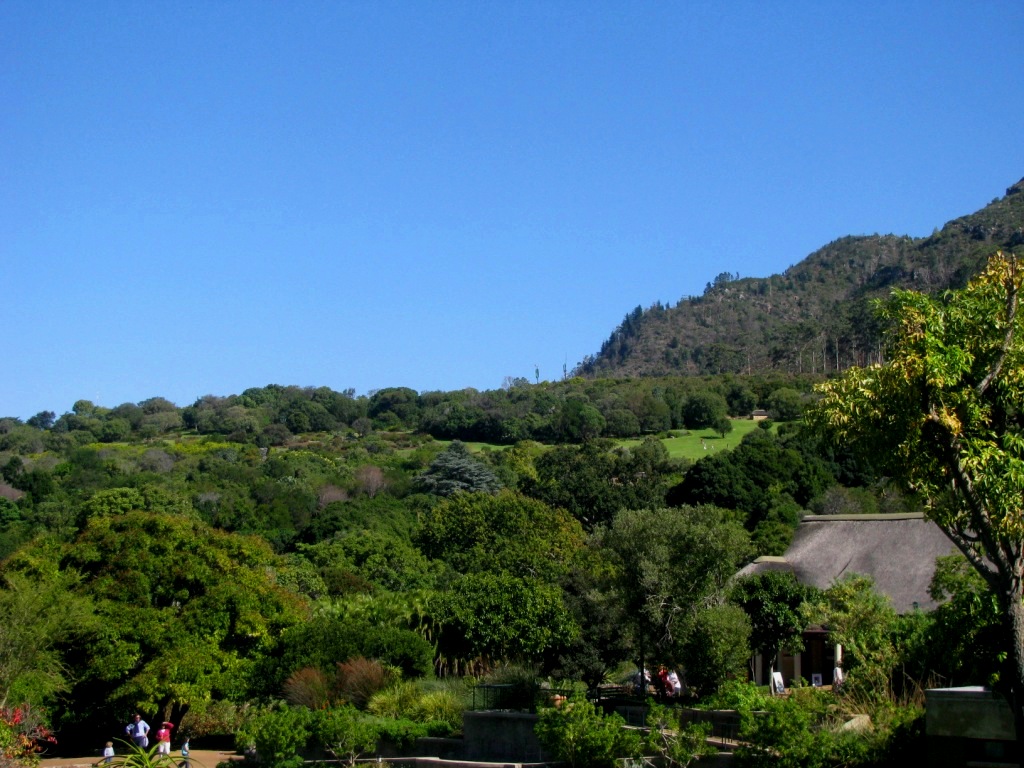 Kirstenbosch 07