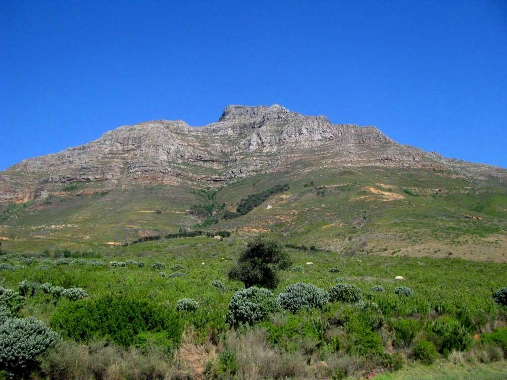 Table Mountain National Park 04