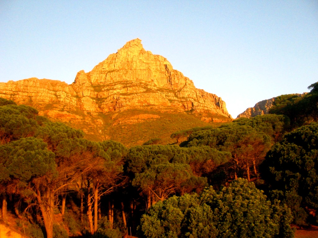 Table Mountain National Park, South Africa, April 2013