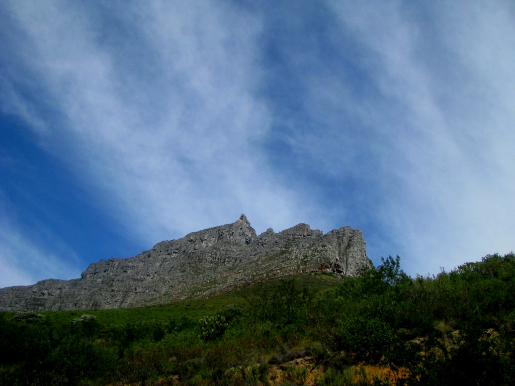 Table Mountain National Park 39