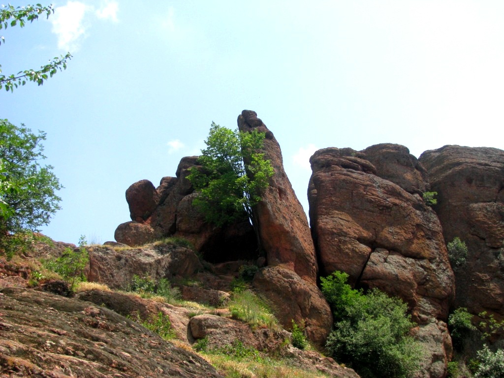 Belogradchik Rocks 13
