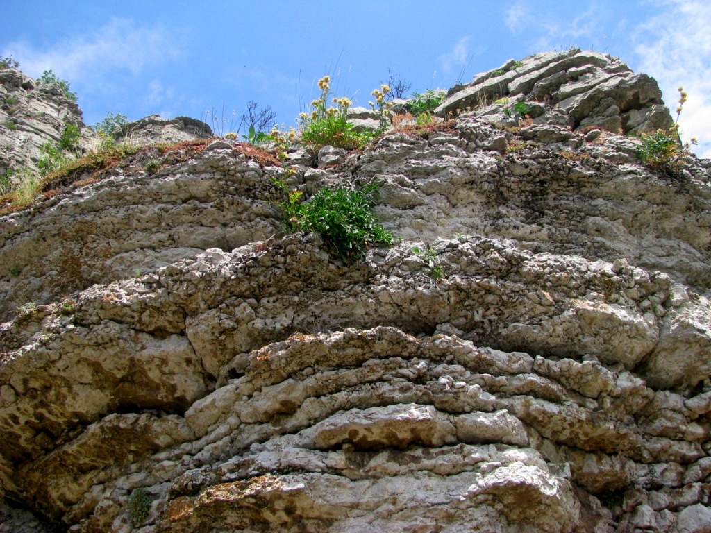 Kozarnika cave 24