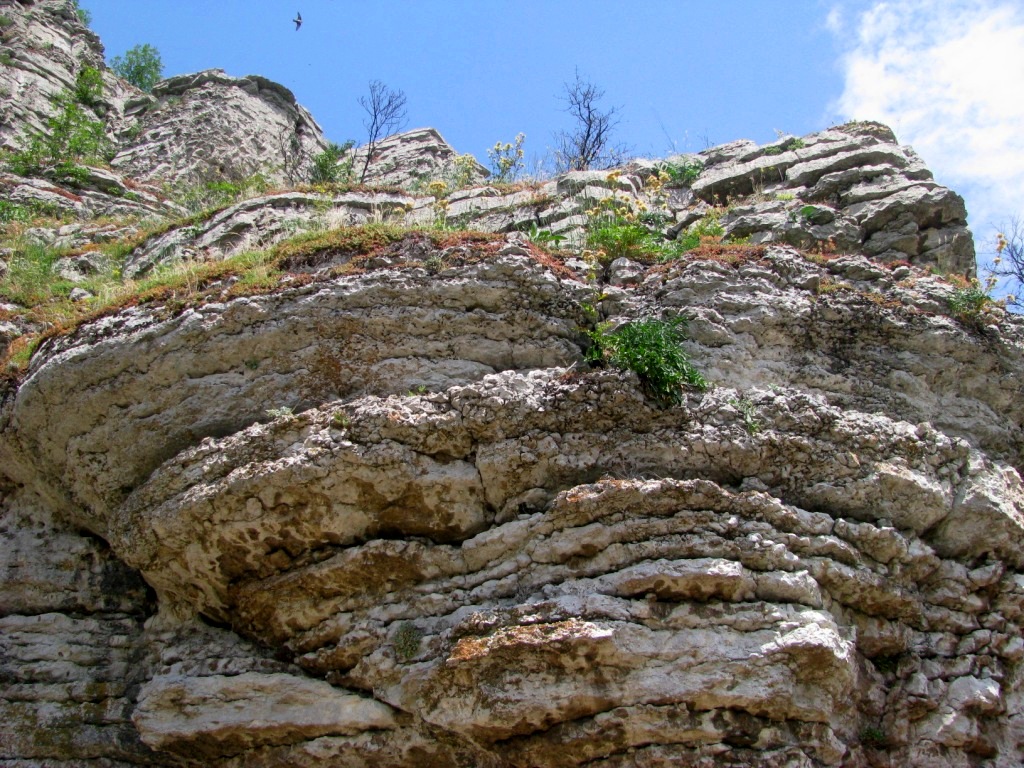Kozarnika cave 39