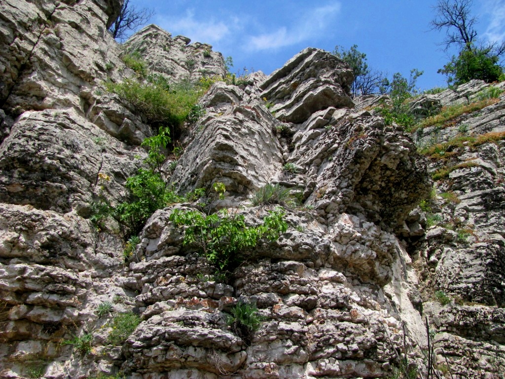 Kozarnika cave 26