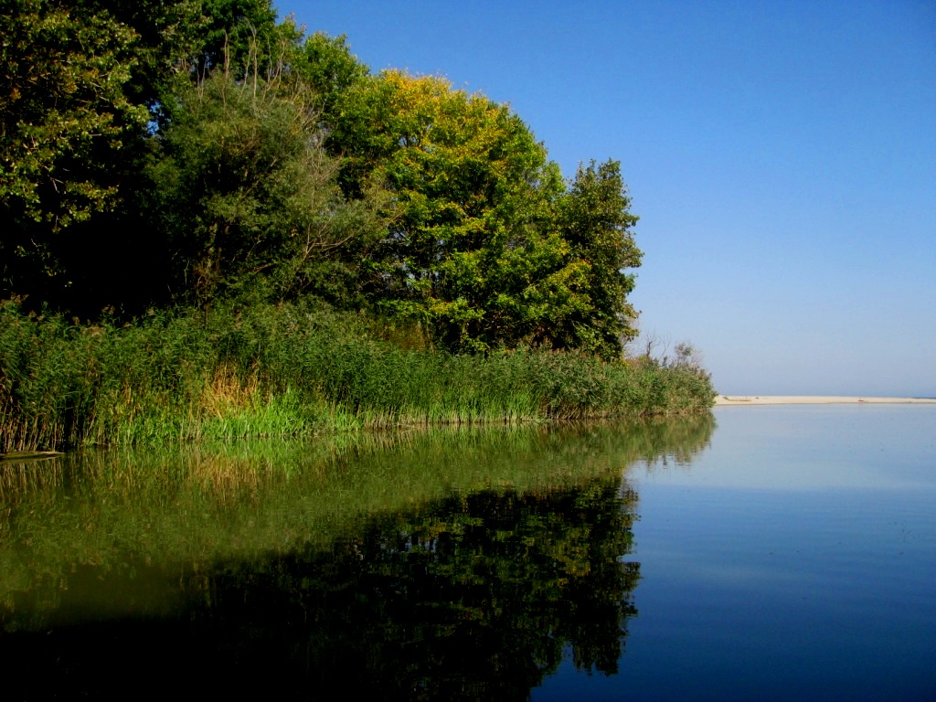 Kamchia Biosphere Reserve, Bulgaria, September 2013
