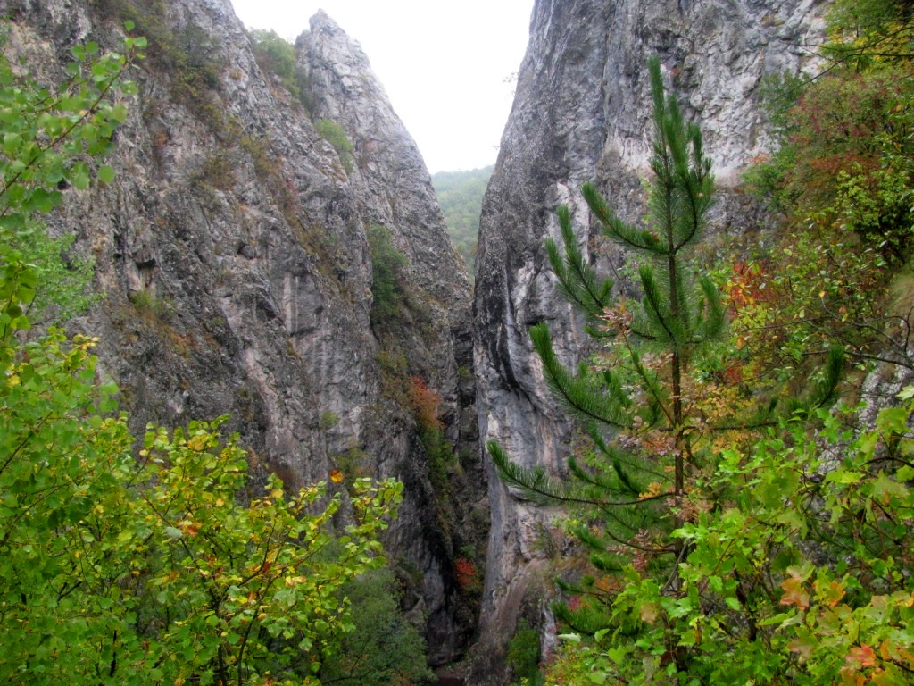 Tran Gorge Of Erma River 09