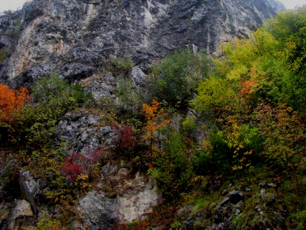Tran Gorge Of Erma River 11