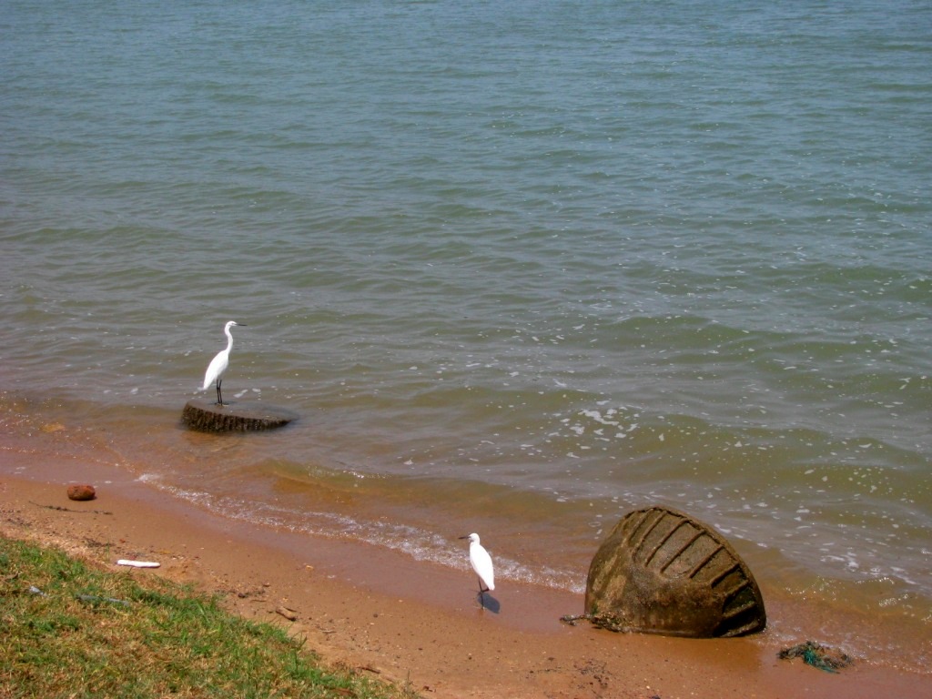 Lake Victoria 27