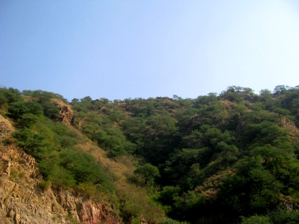 Kallar Kahar Mountains 22