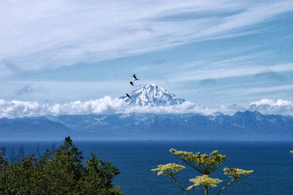 Cook Inlet view