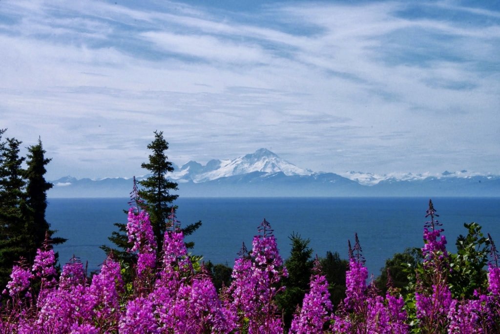 Cook Inlet view