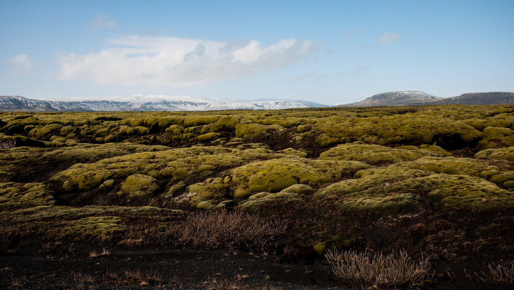 Южният бряг на Исландия