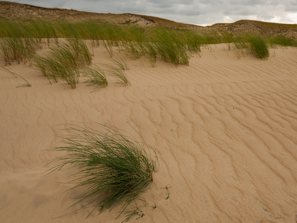 Най-голямата пясъчна дюна