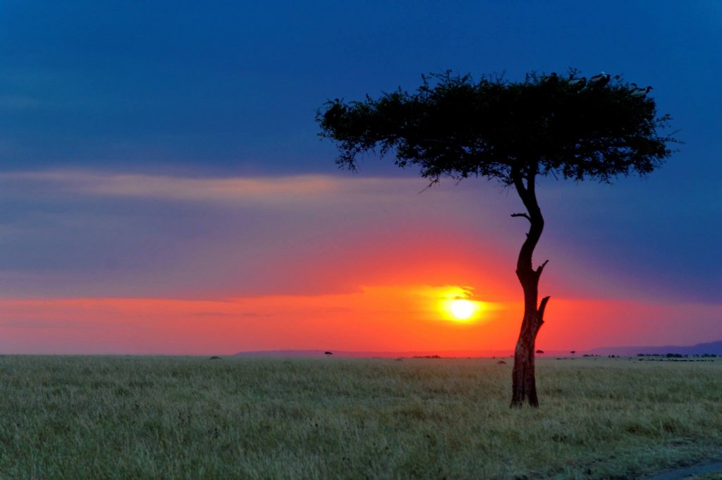 Sunset in Masai Mara, Kenya.