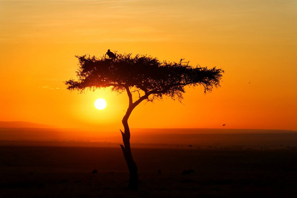 Sunrise in Masai Mara, Kenya.