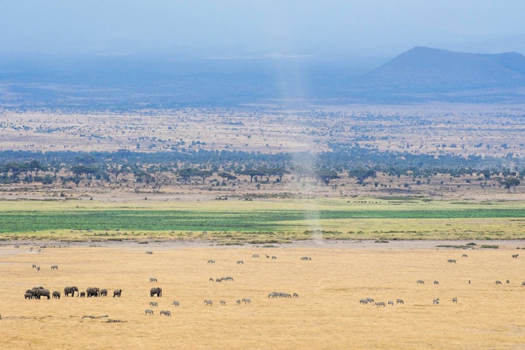 A dust devil in Amboseli National Park, Kenya.