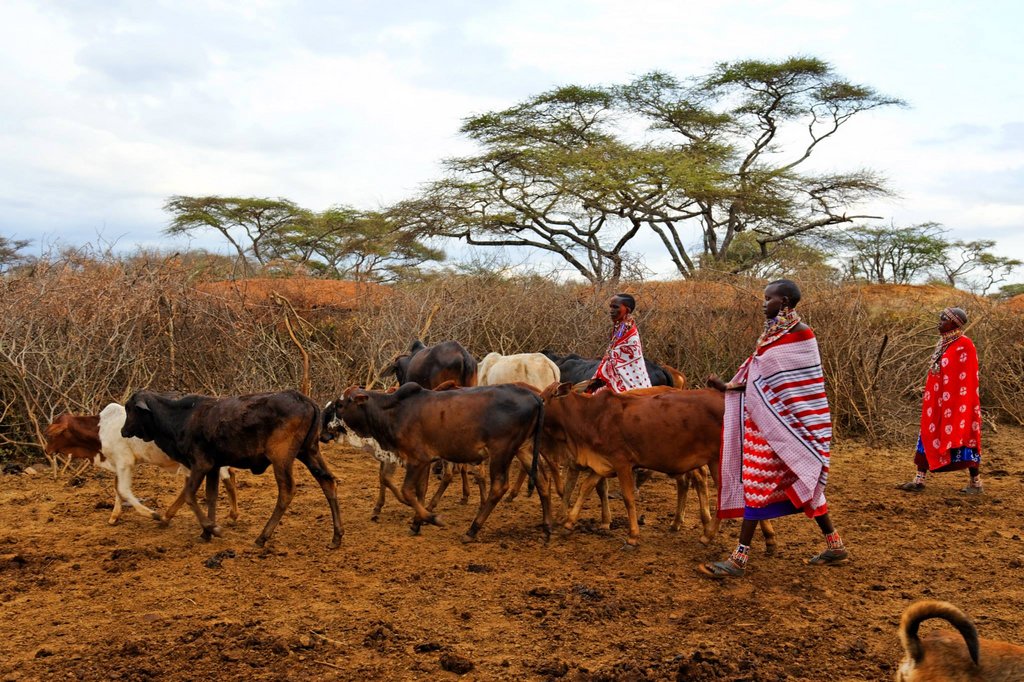 Masai village, Selenkay Conservancy, Kenya