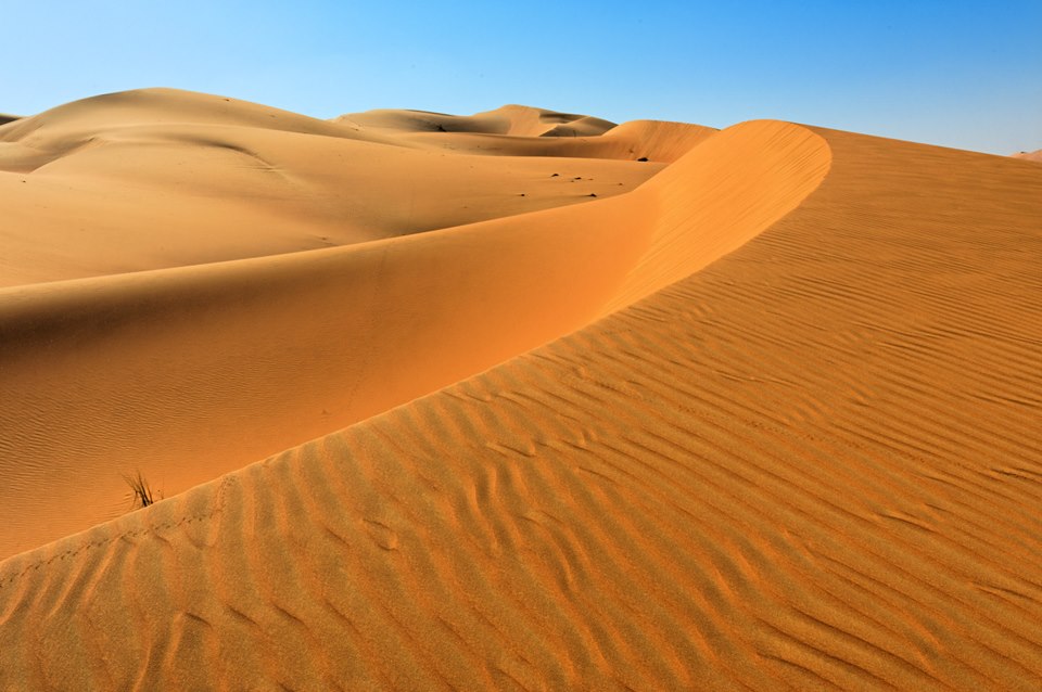 Rub' al Khali Desert, United Arab Emirates 2012