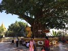 Shwedagon Pagoda