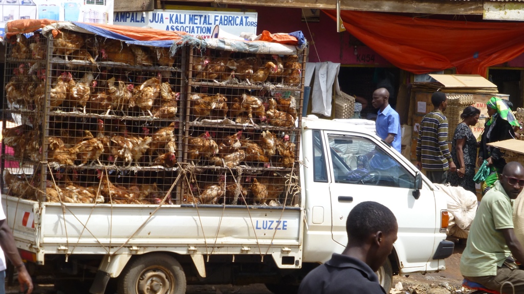 На пазара в Кампала може да намерите всичко