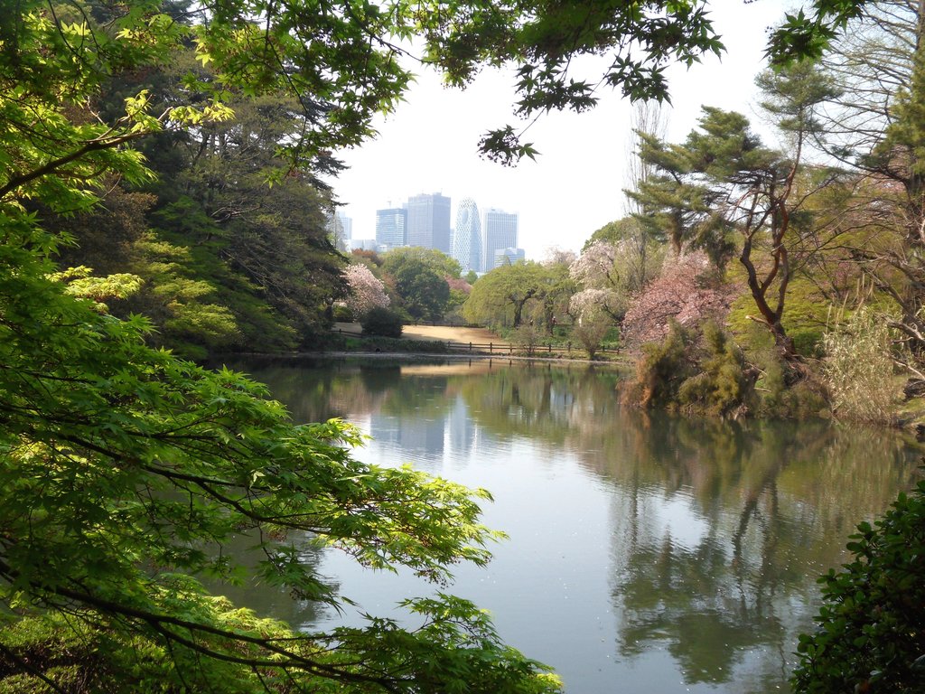 Tokyo - Shinjuku-goen Garden (46).JPG