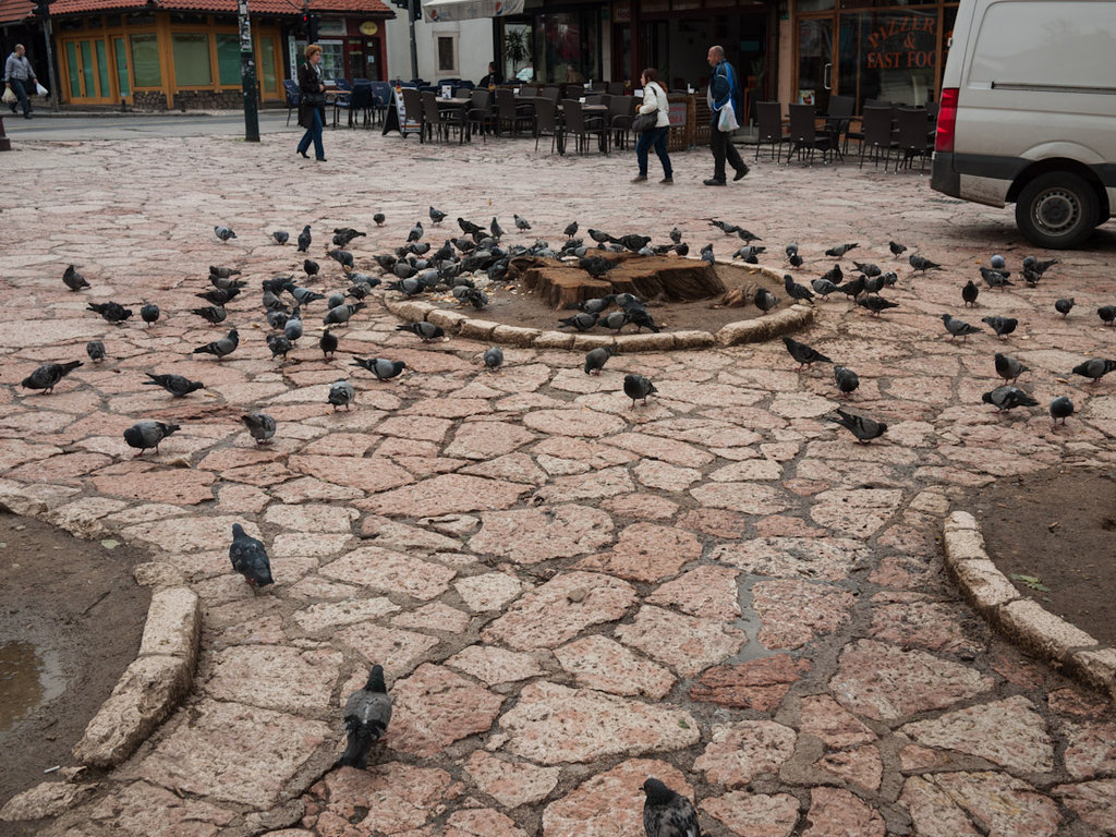 Гълъбите днес са на особена почит, след като са спасили жителите от глад по време на окупацията