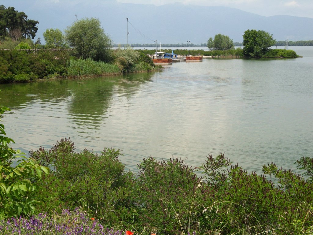 014 - Kerkini Lake (2).JPG