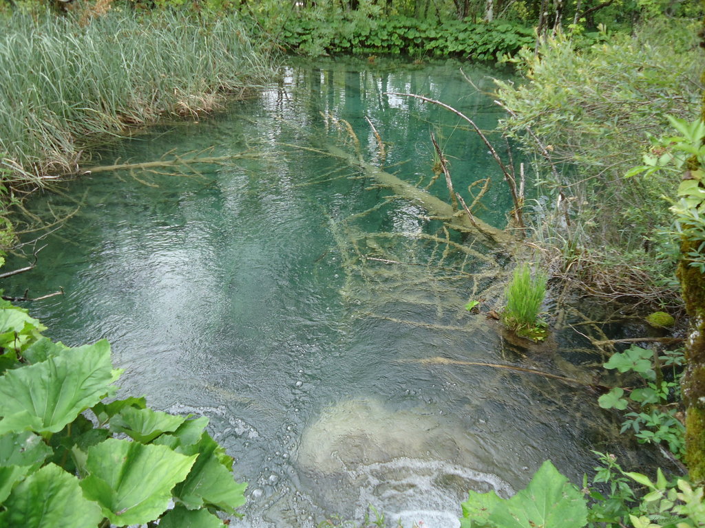 езерце